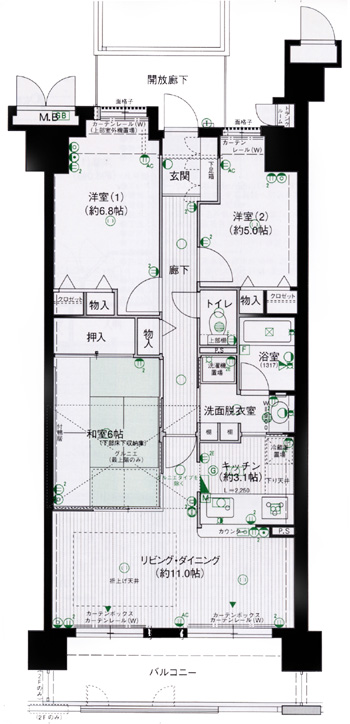 ���l�u���C�g�K�[�f��